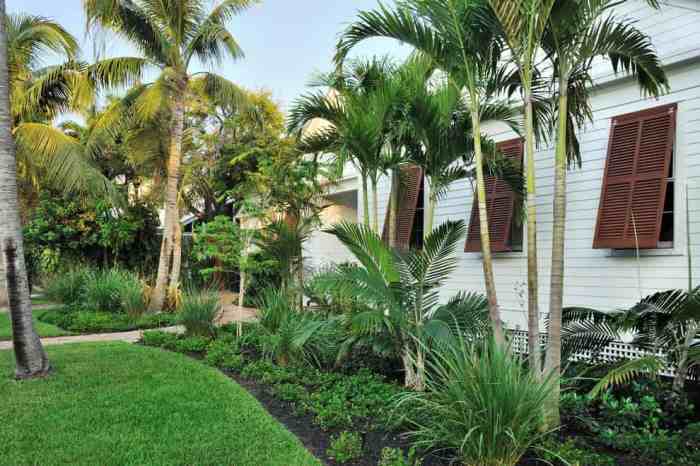 Tropical garden design modern backyard landscaping post ideas plants small landscape patio devon 1000 ground cover article we lush
