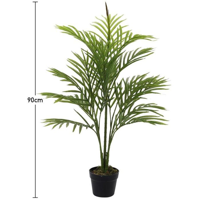 Palm potted trees palms plants pots saved us patio sale