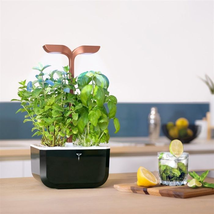 Click & grow indoor herb garden