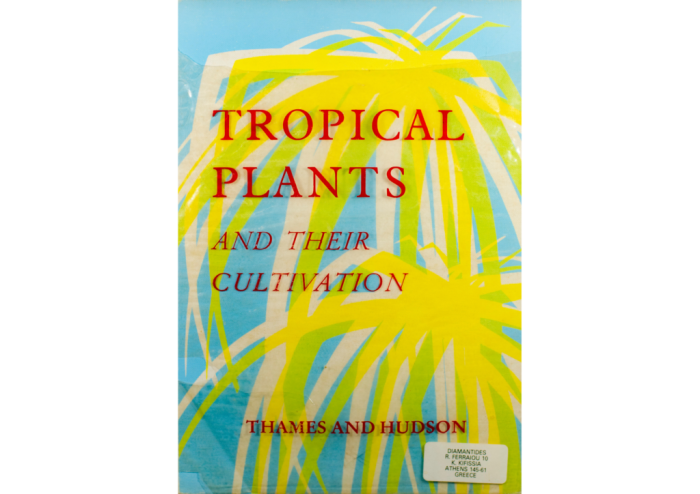 Growing tropical plants
