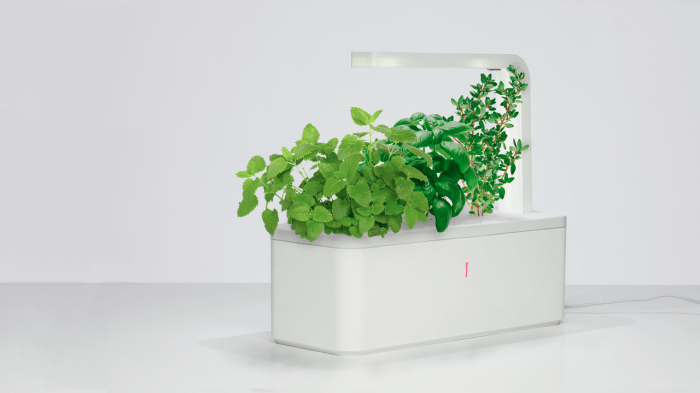 Best smart herb garden