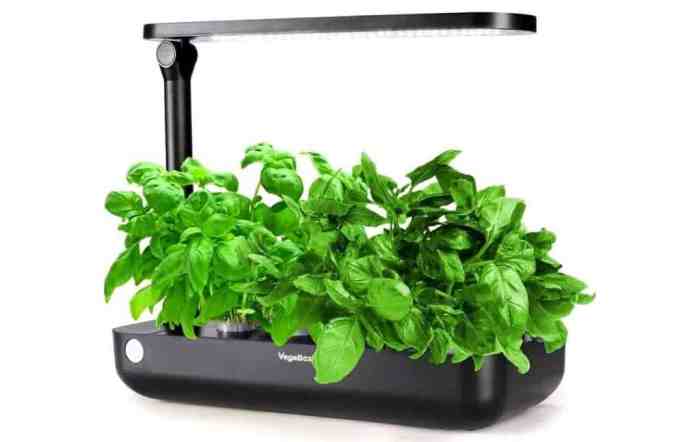 Smart garden grow indoors veggies week help indoor aerogarden wi integrated smartphone fi farm mess homemydesign Smart garden grow indoors veggies week help indoor aerogarden wi integrated smartphone fi farm mess homemydesign