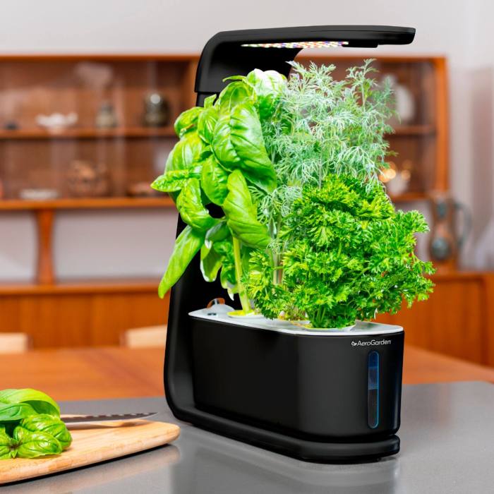 Sprout aerogarden cooking pods herb shipped