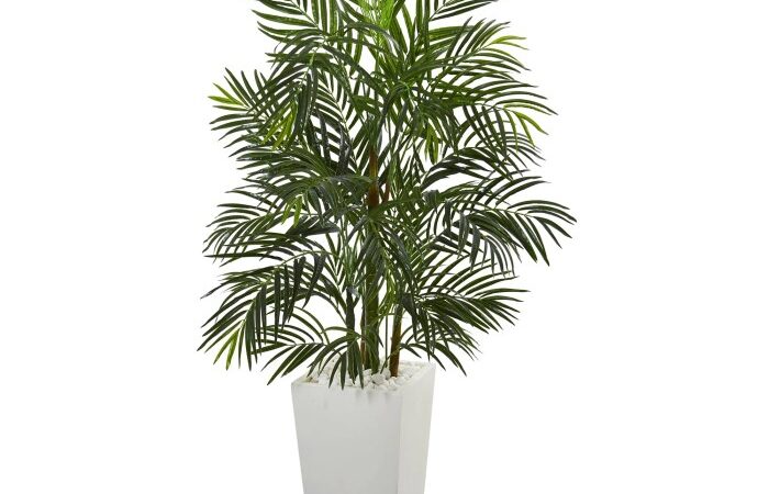 Artificial nearly areca qvc