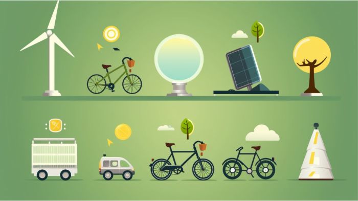 Best indoor hydroponic vegetable garden