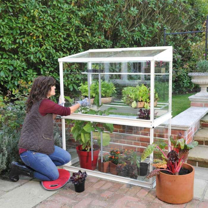 Greenhouse indoor diy make house green ideas greenhouses organic garden plants build own small here week grow light greenmoxie