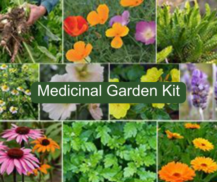 Medicinal garden kit