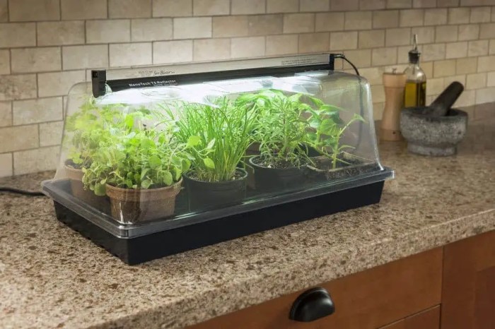 Indoor herb garden greenhouse