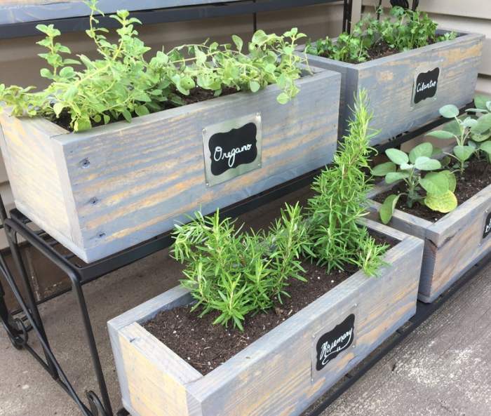 Herb garden box planter outdoor reference ideas planters