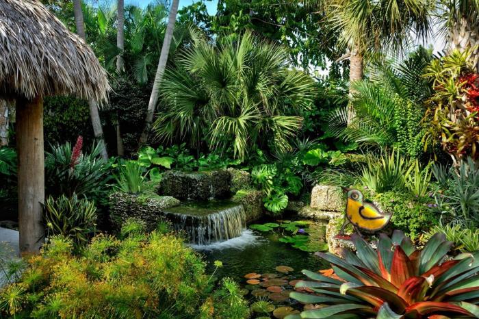 Backyard tropical