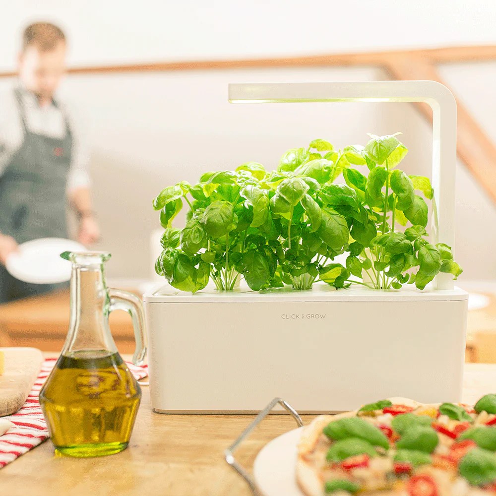 Herb glow smart click garden Herb glow smart click garden