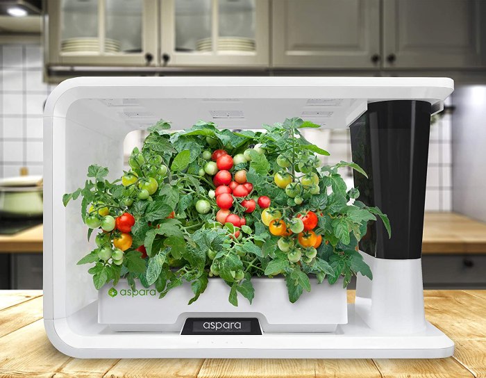 Best rated indoor herb garden