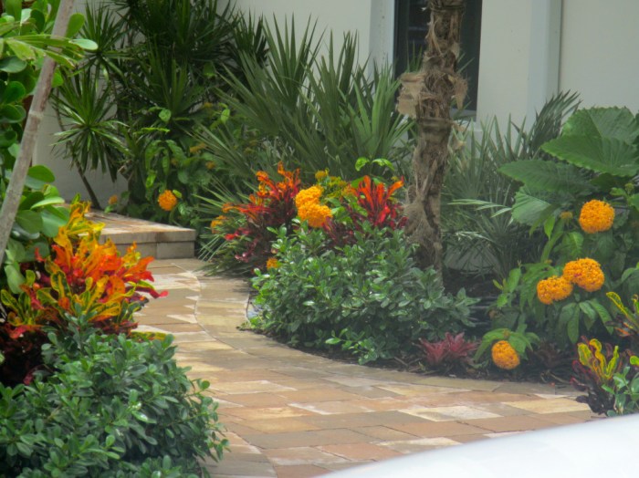Tropical landscaping ideas for front of house