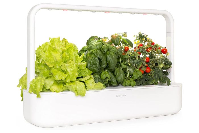 Herb garden ideas kitchen shelf indoor outdoor creative designs outdoors homebnc