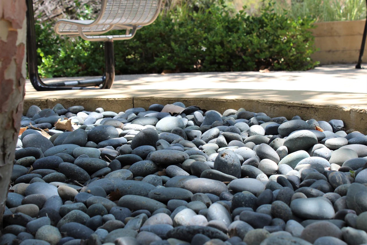 Black stone river pebble polished pebbles landscape garden supplies plant newtons competitive normal rocks pot glass planters rock gardens landscaping Black stone river pebble polished pebbles landscape garden supplies plant newtons competitive normal rocks pot glass planters rock gardens landscaping