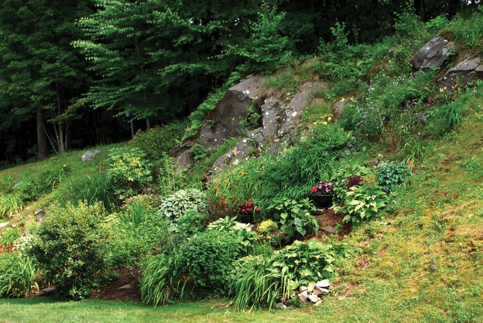 Hillside landscaping rocky