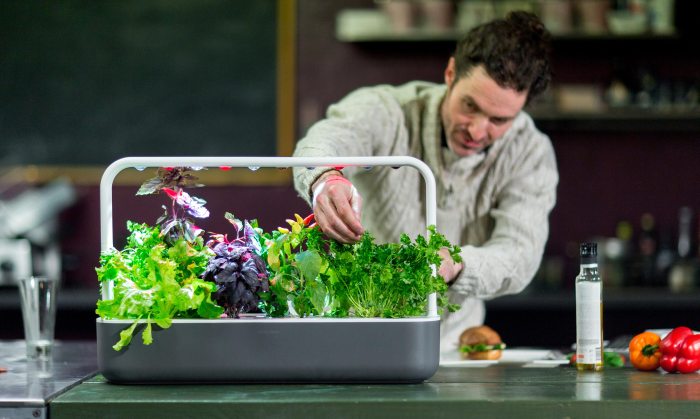 Best smart herb garden