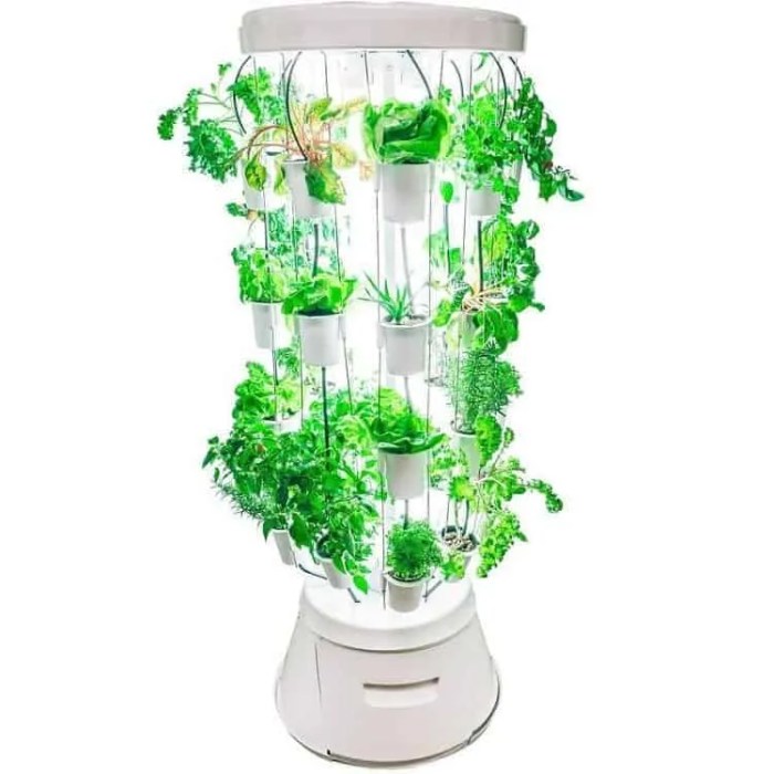 Home indoor garden kit