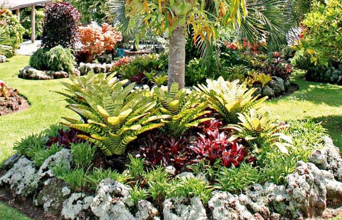 Tropical landscaping ideas for front of house