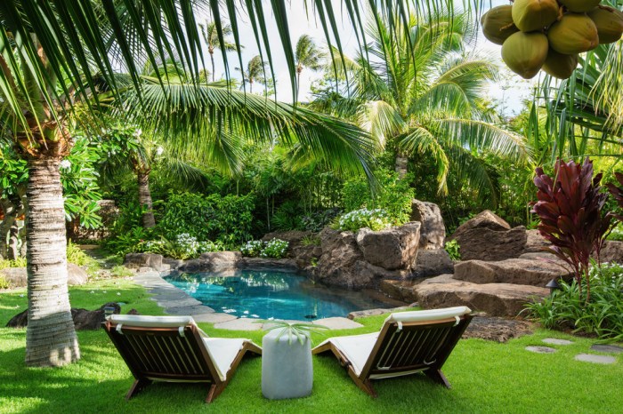 Backyard tropical