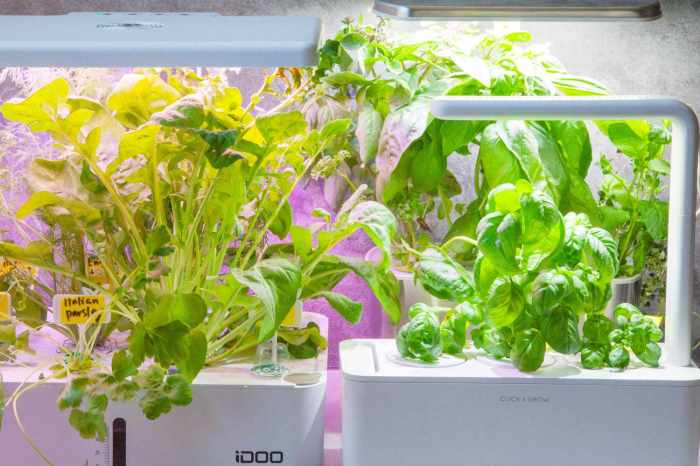 Best rated indoor herb garden