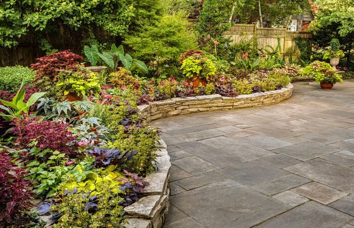 Tropical backyard landscape