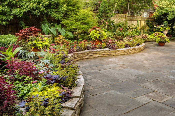 Tropical backyard landscape