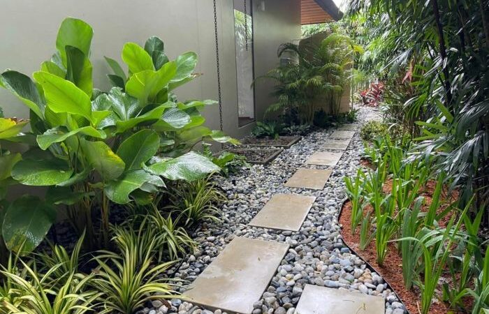 Tropical landscape garden designs plants subtropical landscaping design backyard gardens relax stunning know oasis ideas summer architectureartdesigns small sydney nz